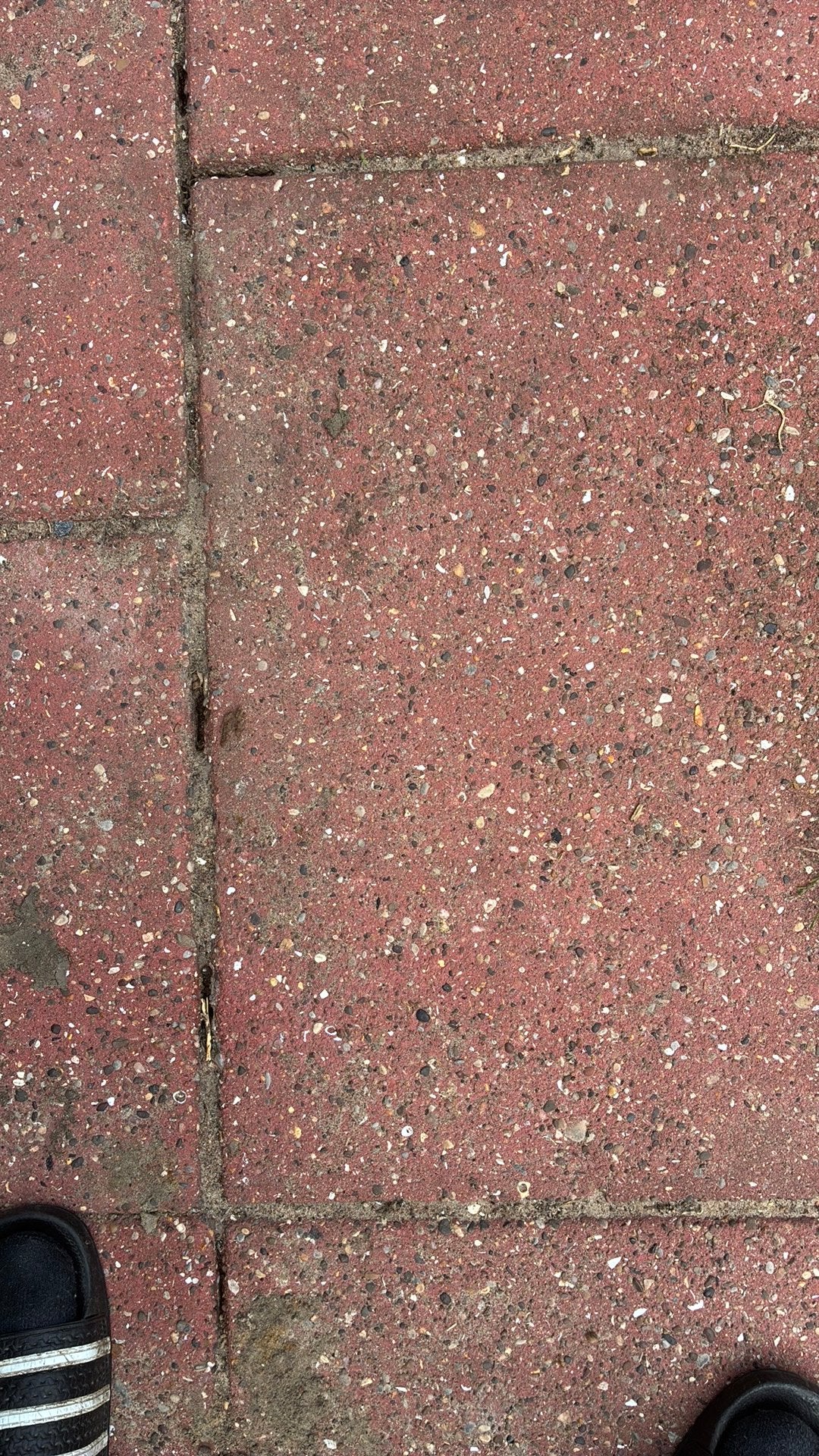 ### GRATIS OP TE HALEN ##BETON TEGELS (60/40) ##, Tuin en Terras, Tegels en Klinkers, Ophalen, Gebruikt, 10 m² of meer, Beton