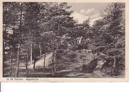 Ansichtkaart 	Appelscha	In de Duinen, Verzenden, 1920 tot 1940, Gelopen, Friesland