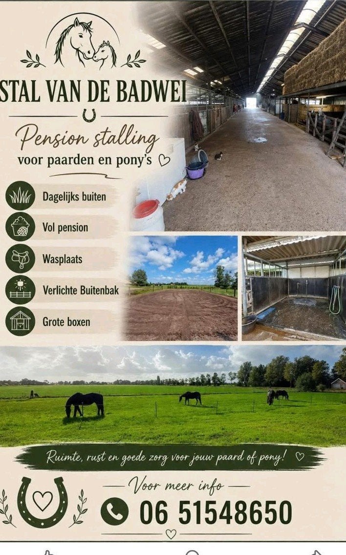 Vol pension stalling aangeboden, Dieren en Toebehoren, Stalling