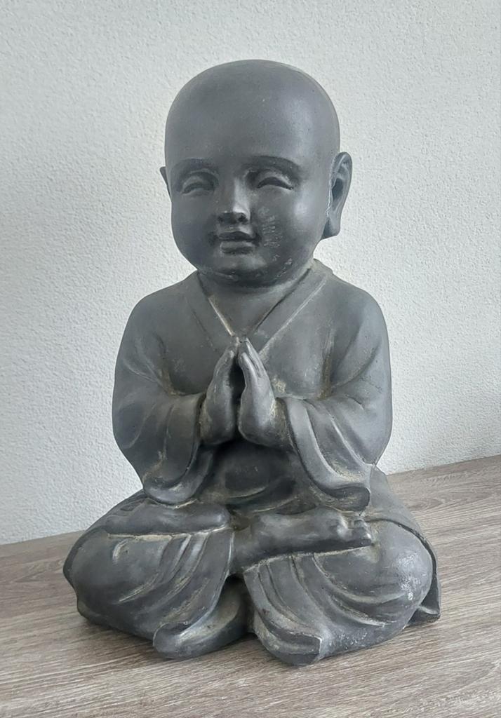 Shaolin monnik, Ophalen