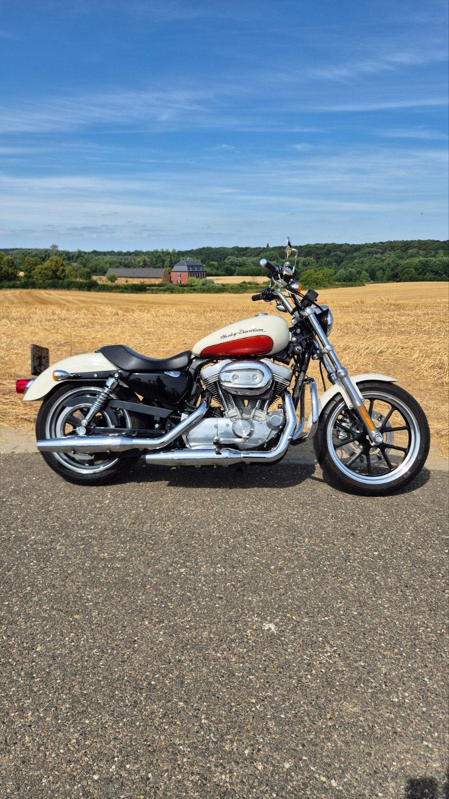 Harley-Davidson XL Sportster 883L Super Low, Motoren, Motoren | Harley-Davidson, Handvatverwarming, 2 cilinders, Gebruikt, 883 cc