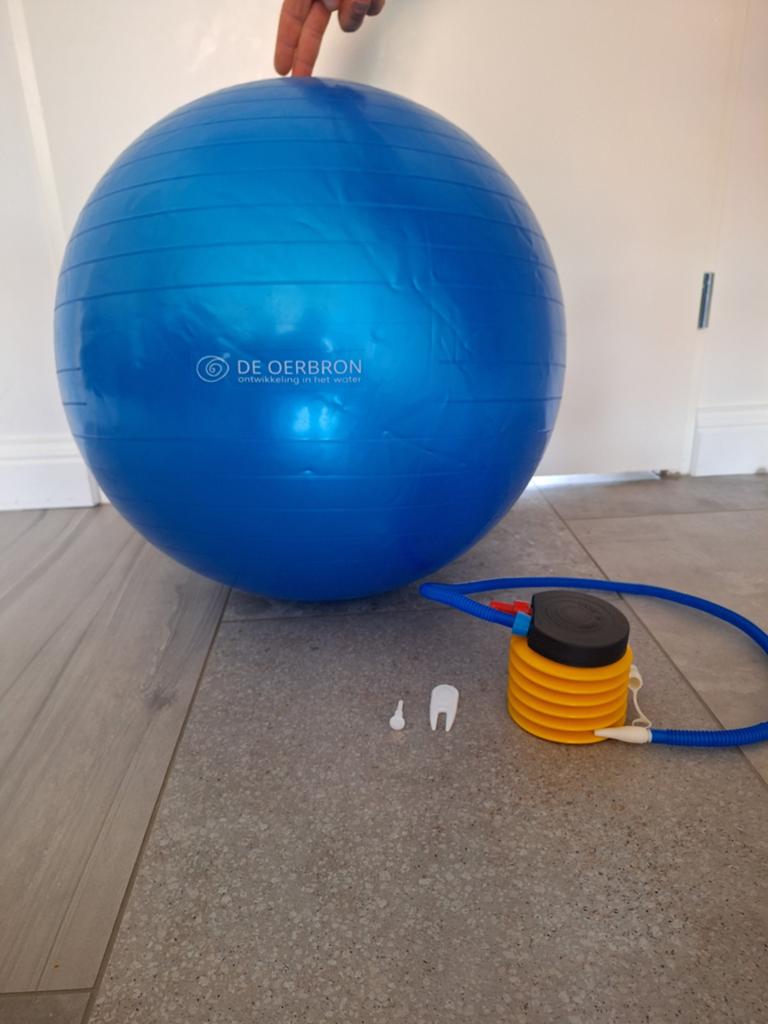 Bevalbal met pompje, Sport en Fitness, Ophalen of Verzenden, Yogamat