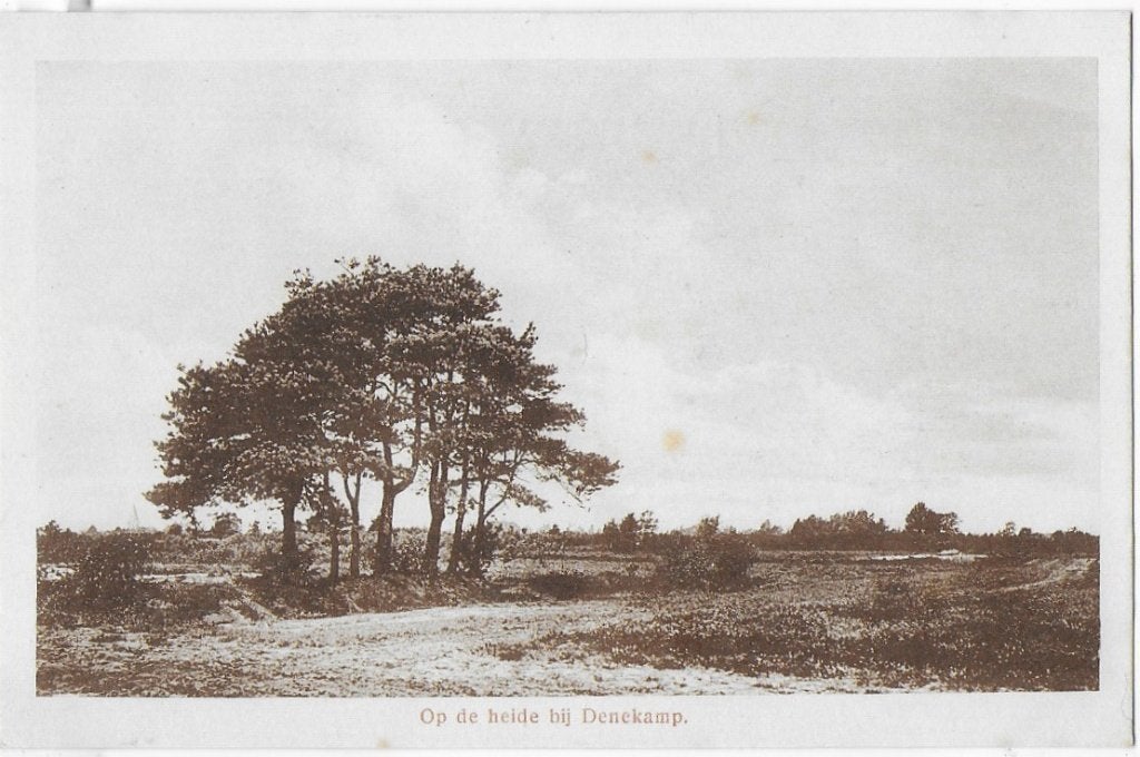 Denekamp op de heide oude ongelopen ansichtkaart (b1752 ), Ophalen of Verzenden, 1960 tot 1980, Gelopen, Noord-Brabant