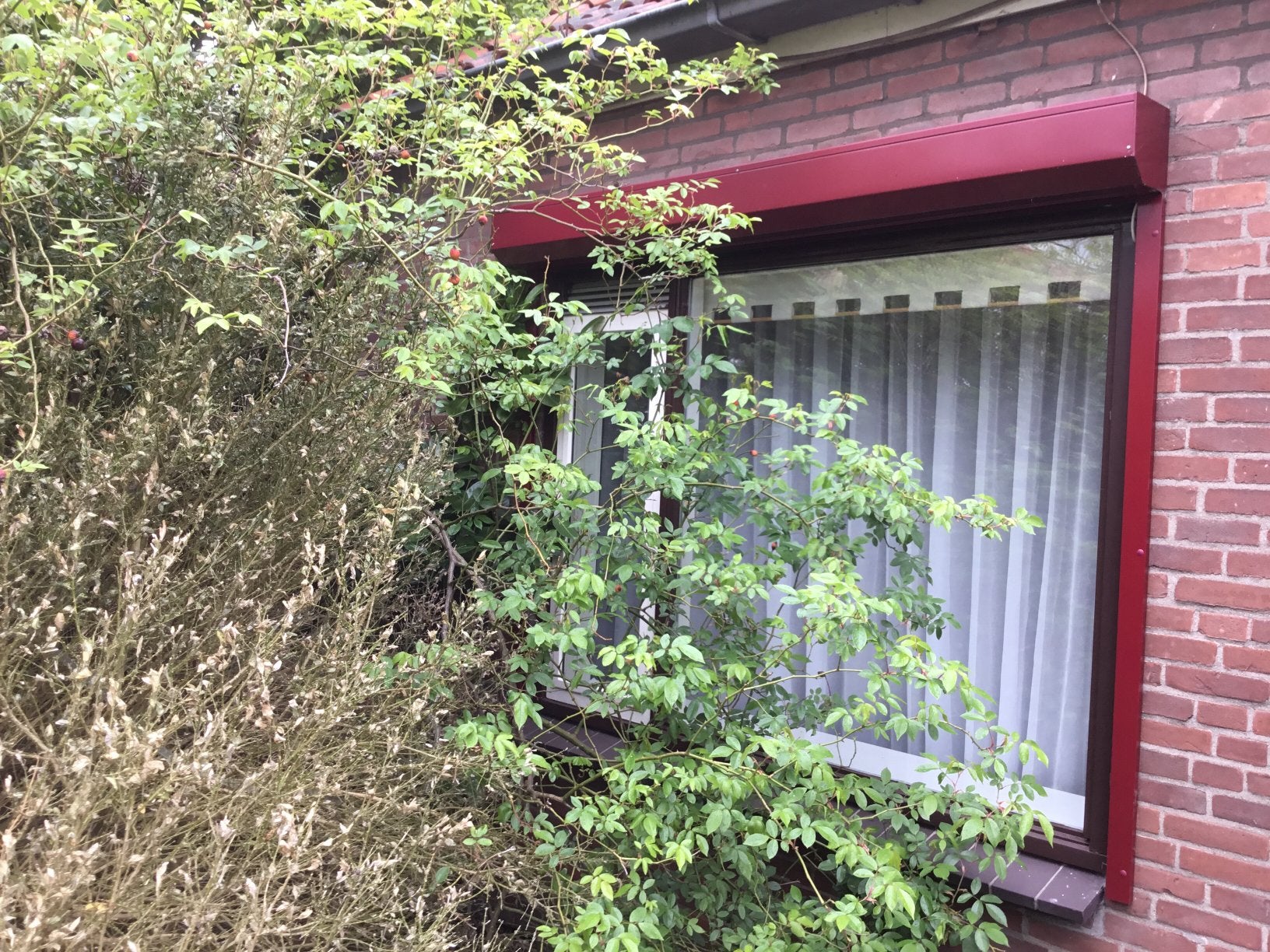 Elektrische Rolluiken, Doe-het-zelf en Verbouw, Rolluiken, Ophalen of Verzenden, Zo goed als nieuw, Wit, 100 tot 150 cm