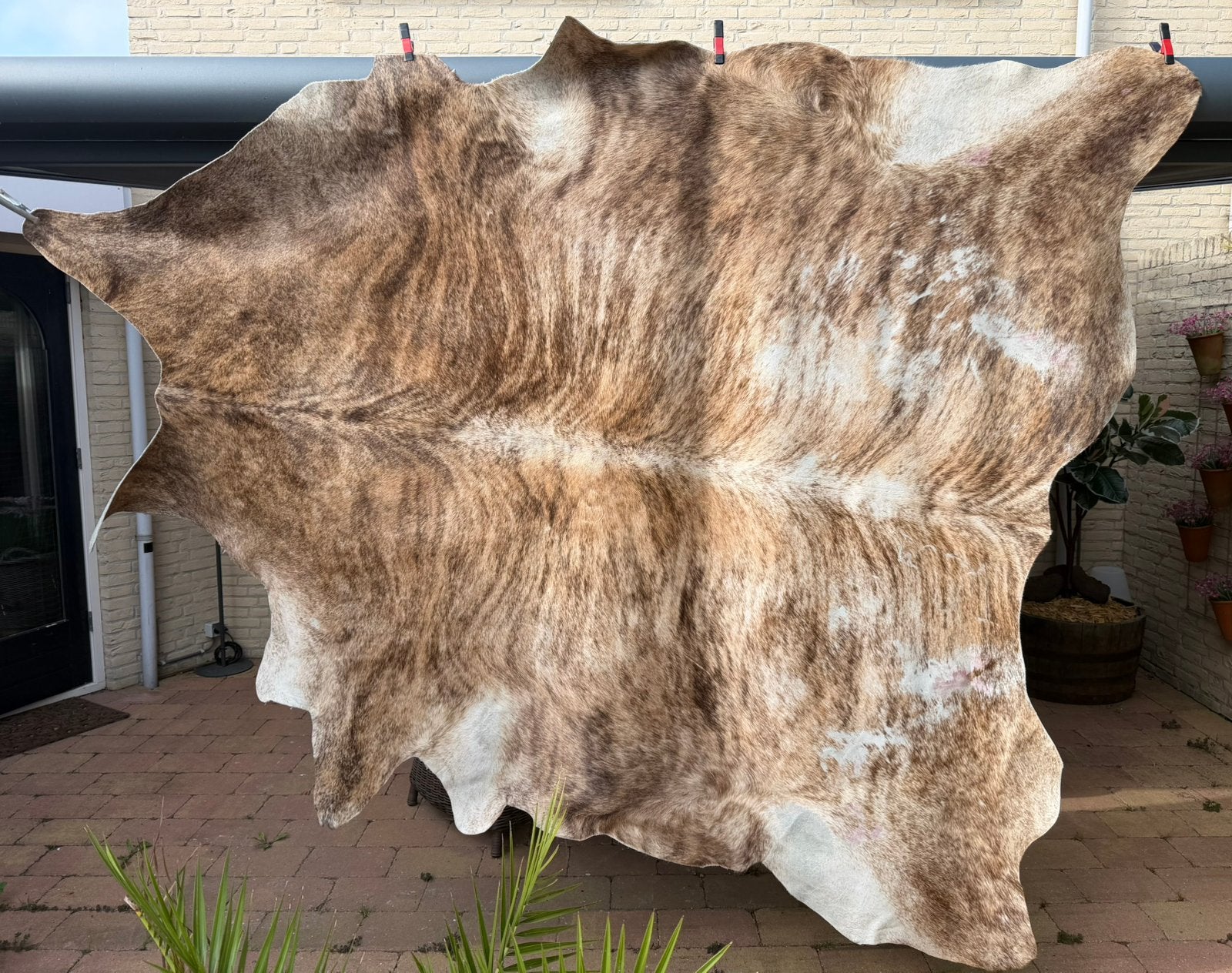 Mooi groot XL koeienhuid, bruin / beige, Huis en Inrichting, Stoffering | Tapijten en Kleden, Koeienhuid, Bruin, 200 cm of meer