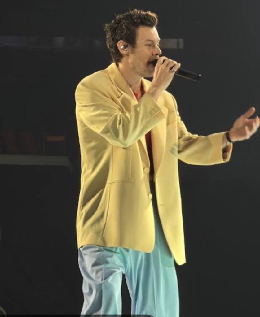 Harrie Styles 26 mei, Tickets en Kaartjes, Eén persoon, Mei