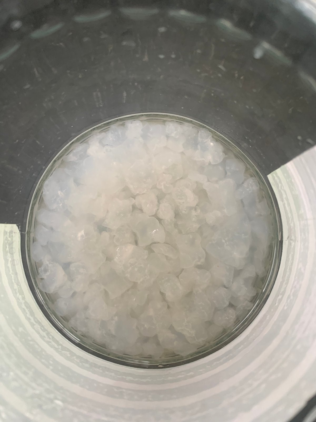 Waterkefir, Ophalen