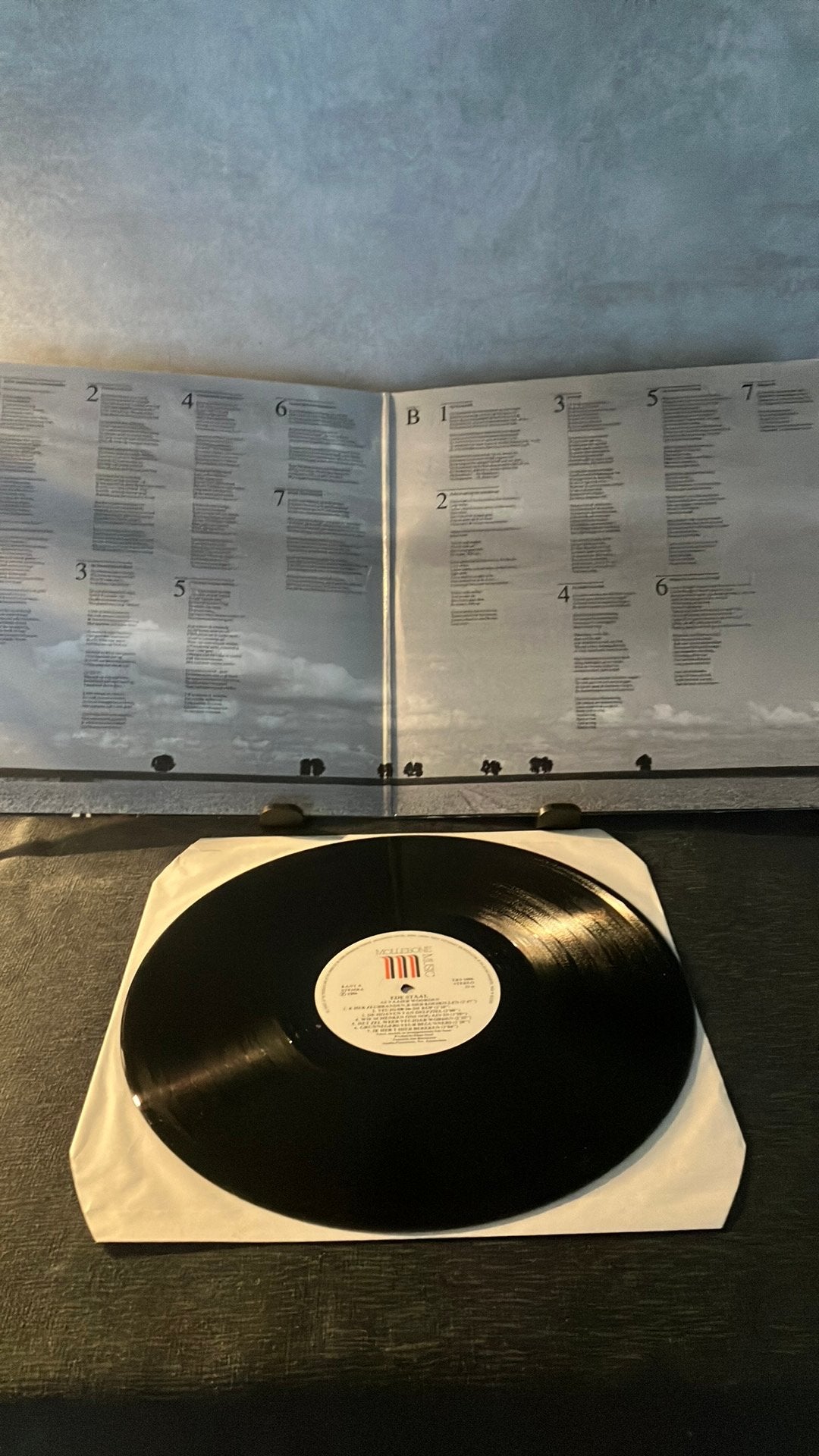 Ede Staal — As Vaaier Woorden, Cd's en Dvd's, Vinyl | Nederlandstalig, LP, Ophalen of Verzenden, Zo goed als nieuw, 12 inch