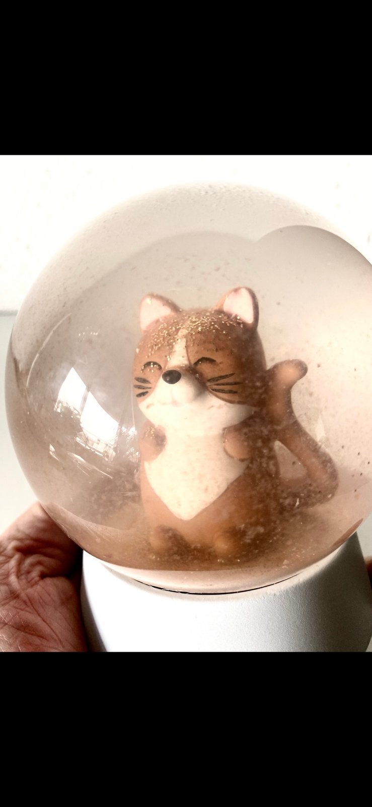 leuke SNEEUWBOL ‘KAT’, Ophalen of Verzenden, Zo goed als nieuw, Hond of Kat, Overige typen