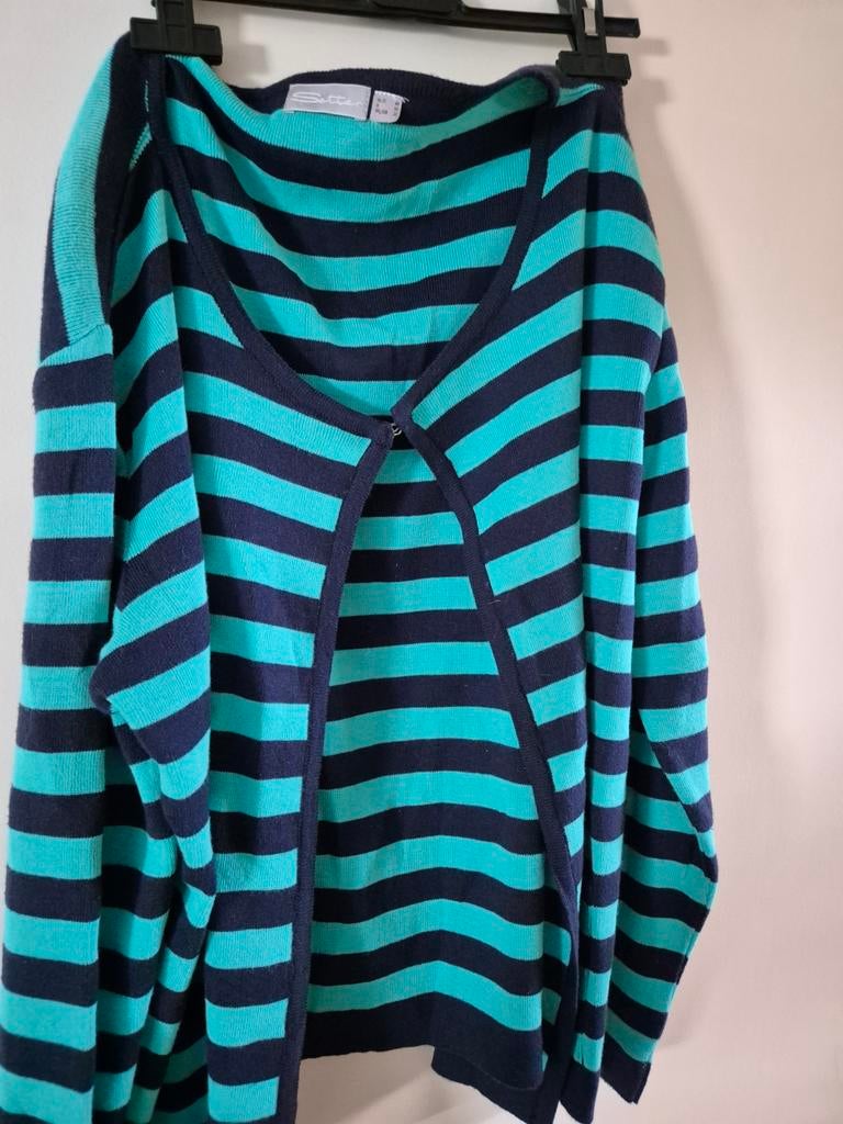 Gestreepte cardigan in blauw en turquoise, Kleding | Dames, Truien en Vesten, Zo goed als nieuw, Maat 42/44 (L), Blauw, Ophalen of Verzenden
