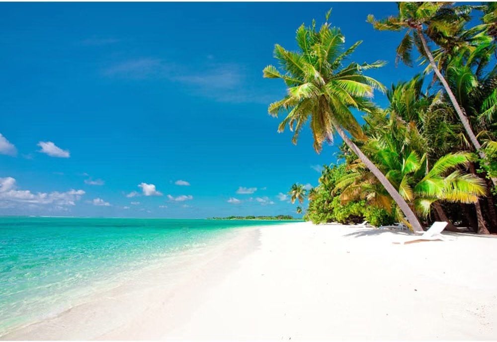 Fotodoek tropisch Hawaii strand 3x2 meter, Ophalen of Verzenden, Gebruikt, Meerkleurig, Textiel