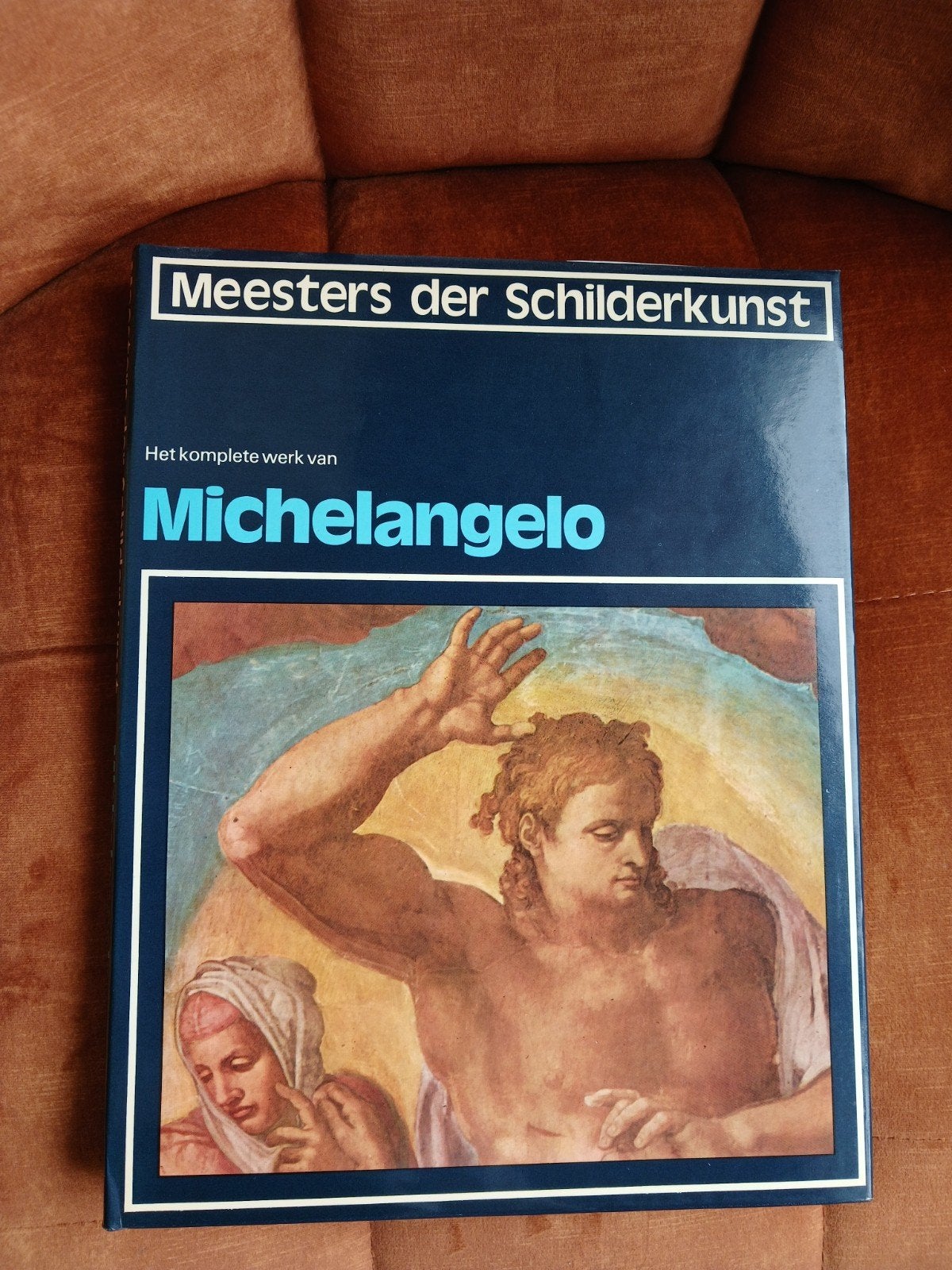 Twee boeken over de Renaissance kunstenaar Michelangelo, Ophalen of Verzenden, Zo goed als nieuw, Beeldhouwkunst, Diversen
