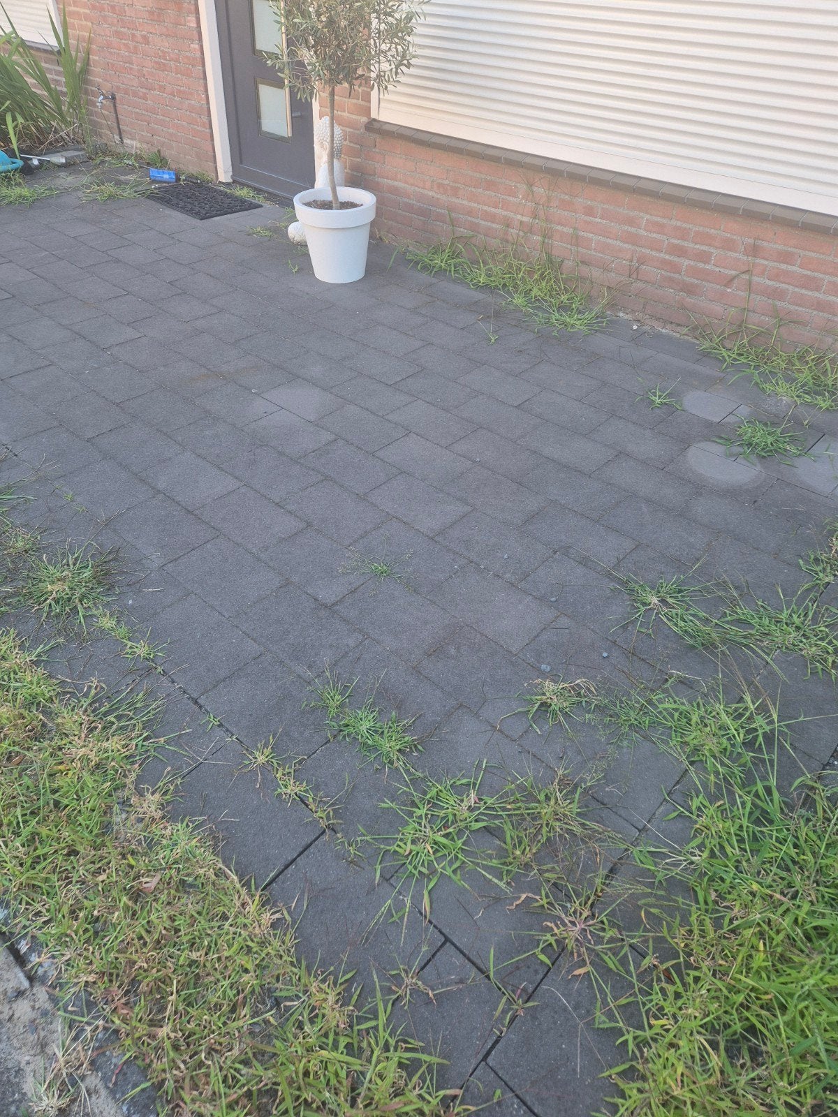 Grijze rechthoekige terrastegels (18 m²), Ophalen