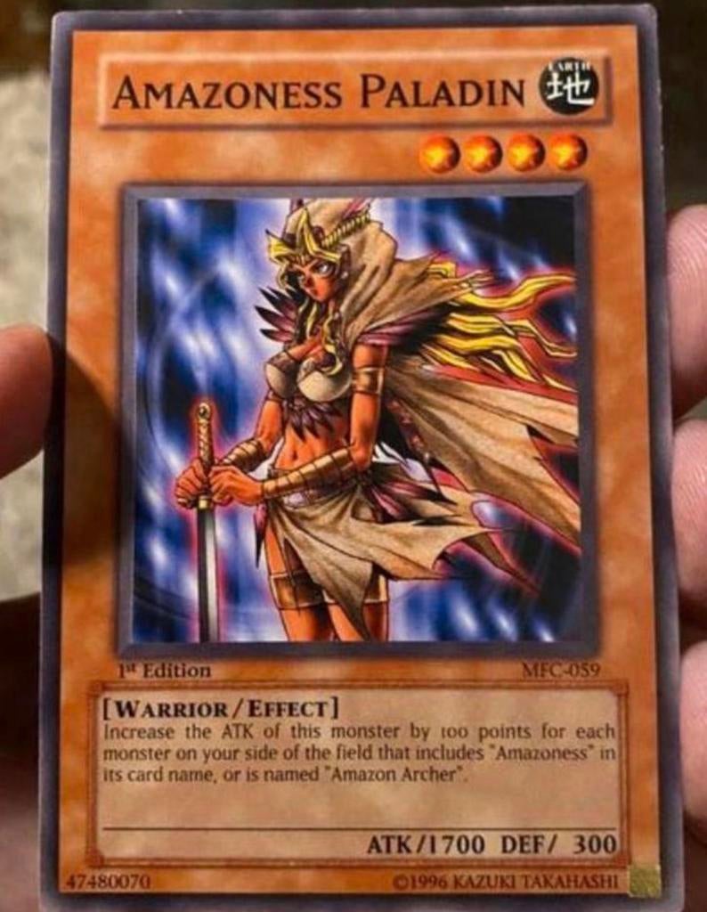 Yu-Gi-Oh! Amazoness Paladin MFC 1st Edition !, Hobby en Vrije tijd, Verzamelkaartspellen | Yu-gi-Oh!, Ophalen of Verzenden, Gebruikt