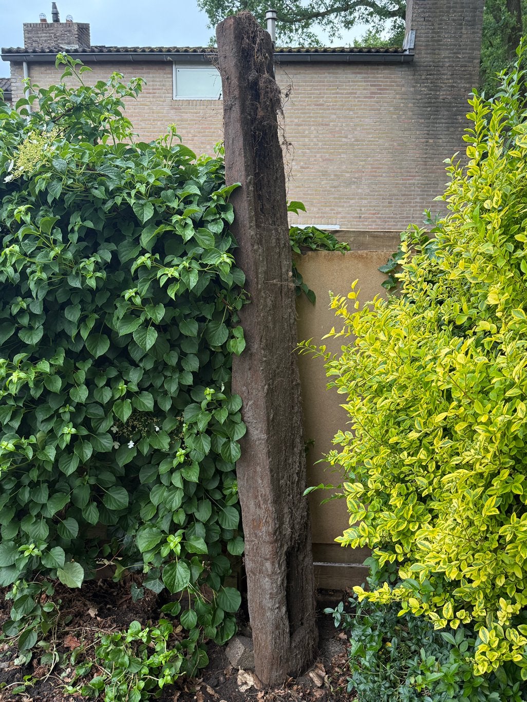 Oude houten biels, Ophalen, Gebruikt, 25 cm of meer, Biels