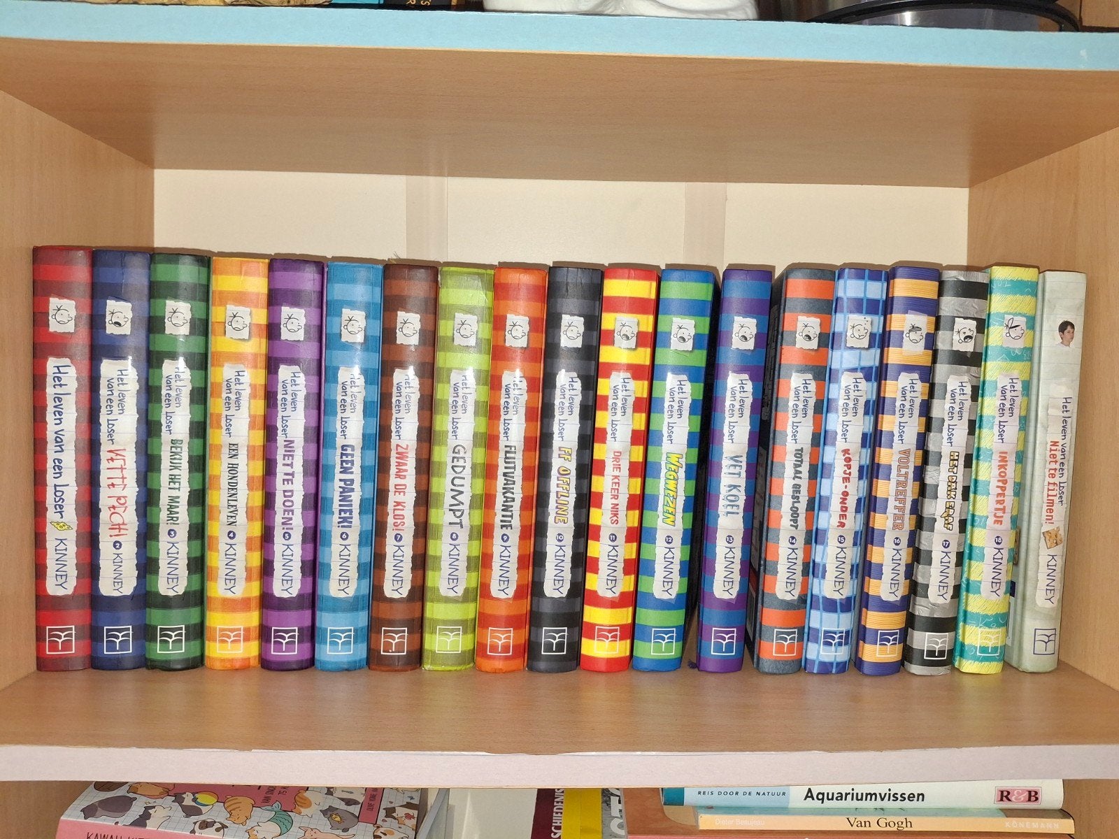 Leven van een loser complete serie, Ophalen, Zo goed als nieuw, Kind en Jeugd