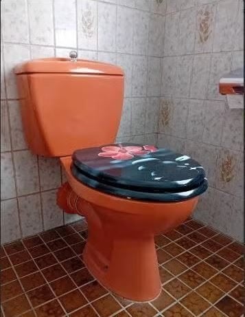 vintage toilet wc Villeroy Boch carneool 70er, Ophalen, Zo goed als nieuw, Steen, Toilet