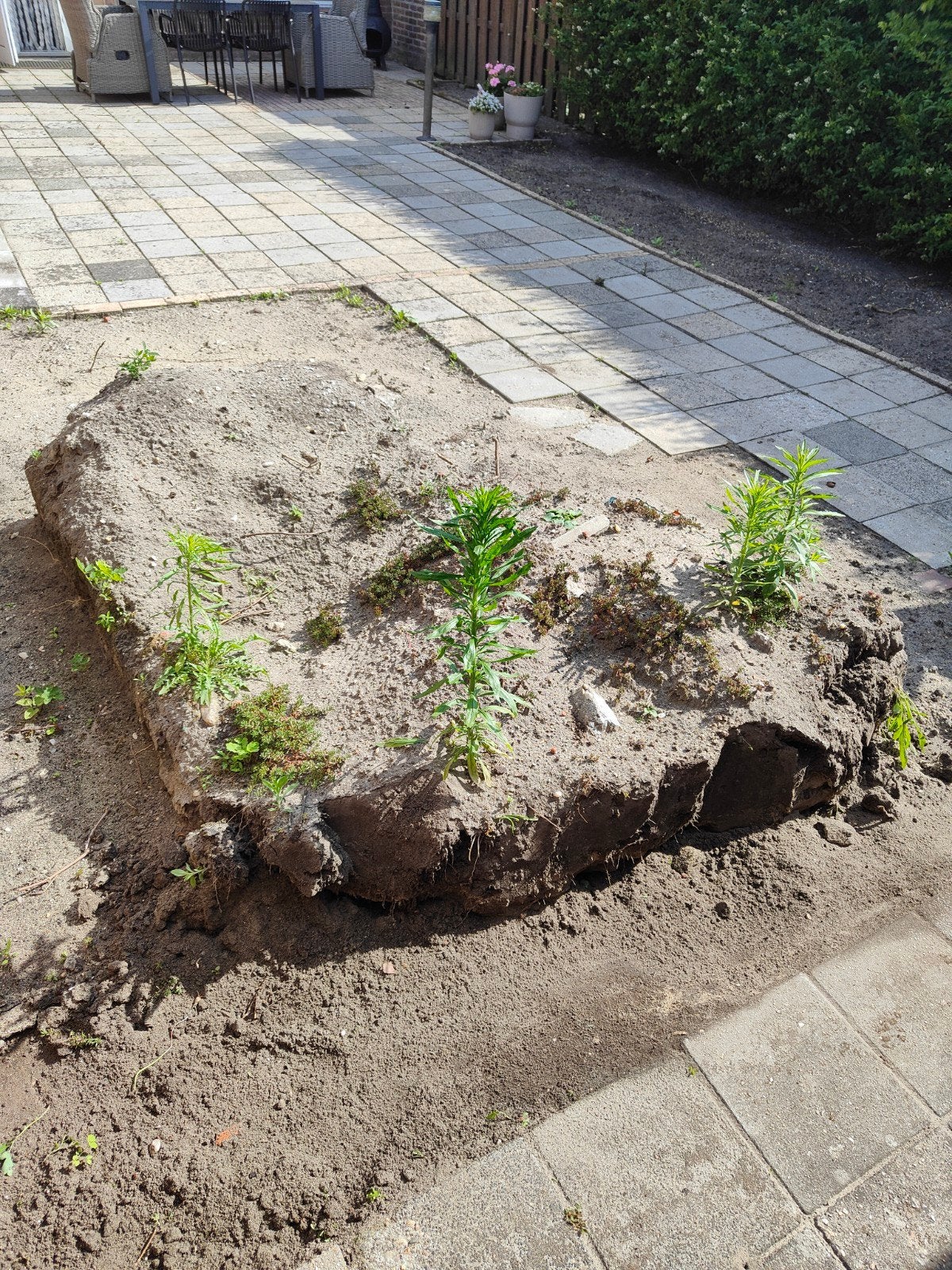 Gratis op te halen zwarte grond !, Tuin en Terras, Zand, Ophalen