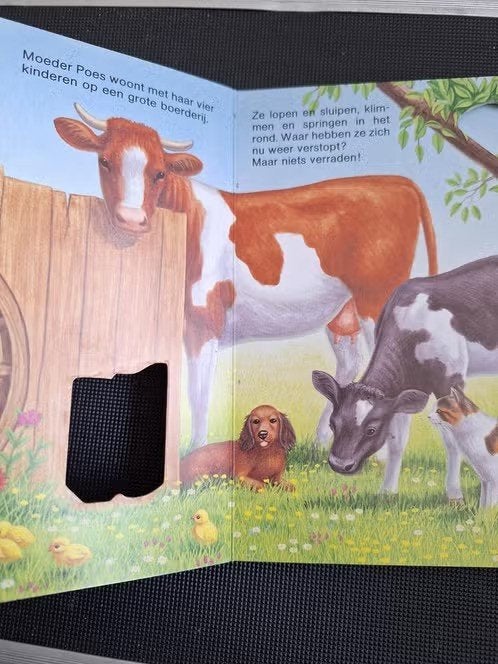 Boek kijk en zoek vlugge poesjes h, Boeken, Hema, 6 tot 12 maanden, Ophalen of Verzenden, Zo goed als nieuw