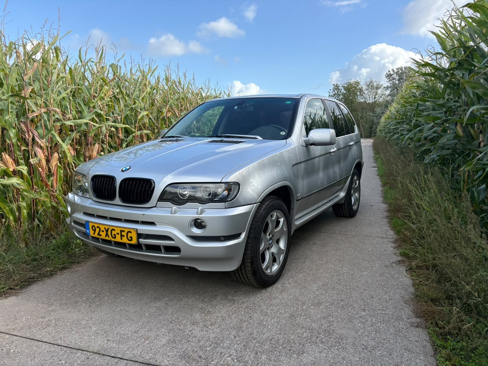 BMW X5 4.4 I AUT 2001 Grijs, Auto's, Automaat, 2100 kg, Vierwielaandrijving, Particulier