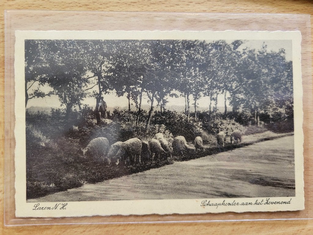 ansicht LAREN Schaapsherder Schapen, Ophalen of Verzenden, Voor 1920, Noord-Holland