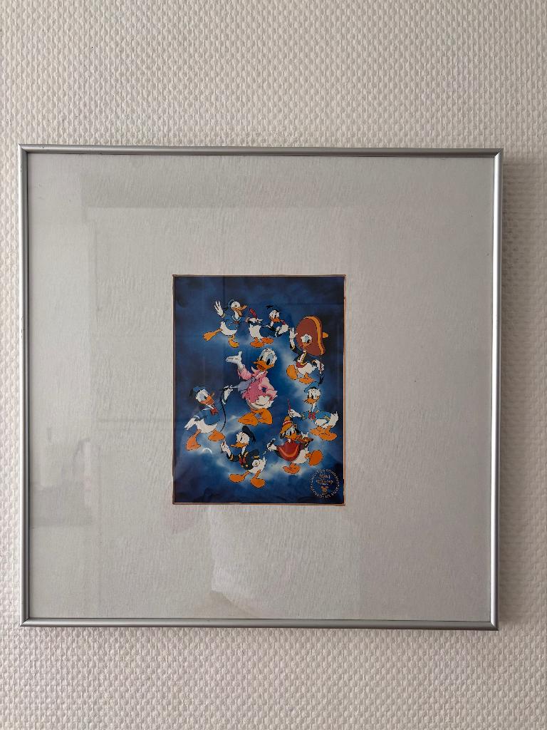Donald Duck litho "De Evolutie van Donald Duck's uiterlijk", Antiek en Kunst, Kunst | Litho's en Zeefdrukken, Ophalen of Verzenden