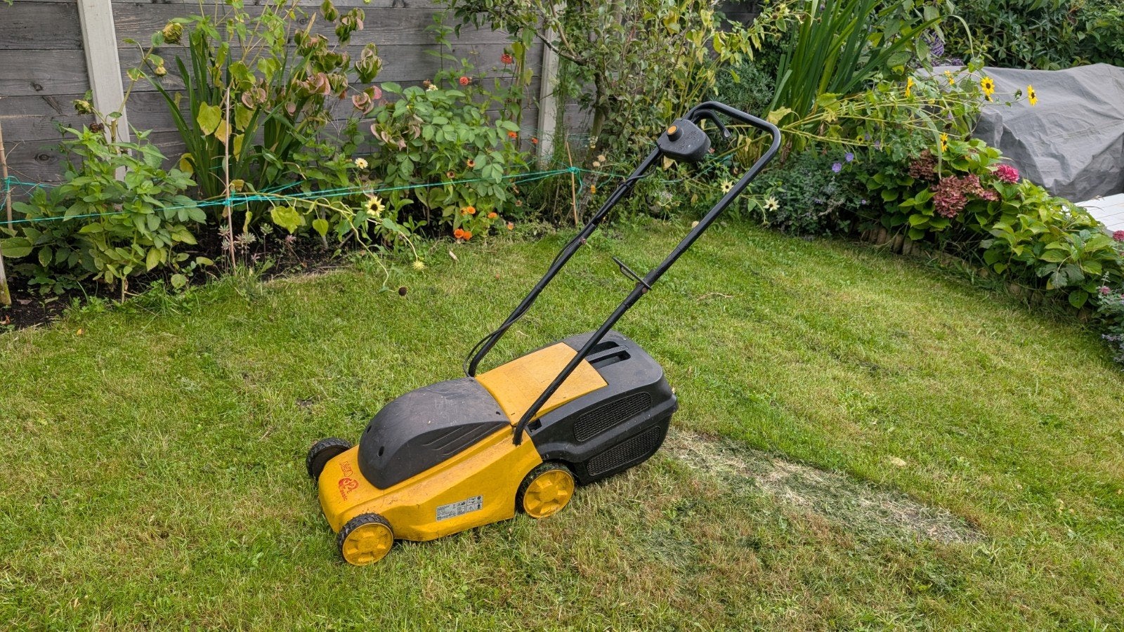 Grasmaaier met beetje kapotte afdekplaat, Ophalen, Gebruikt, Elektrische grasmaaier, Onbekend