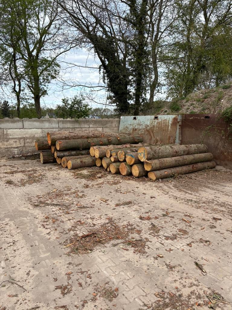 Stammen douglas, fijnspar en lariks | 3 + 4 meter, Tuin en Terras, Haardhout, 6 m³ of meer, Ophalen, Overige houtsoorten, Stammen