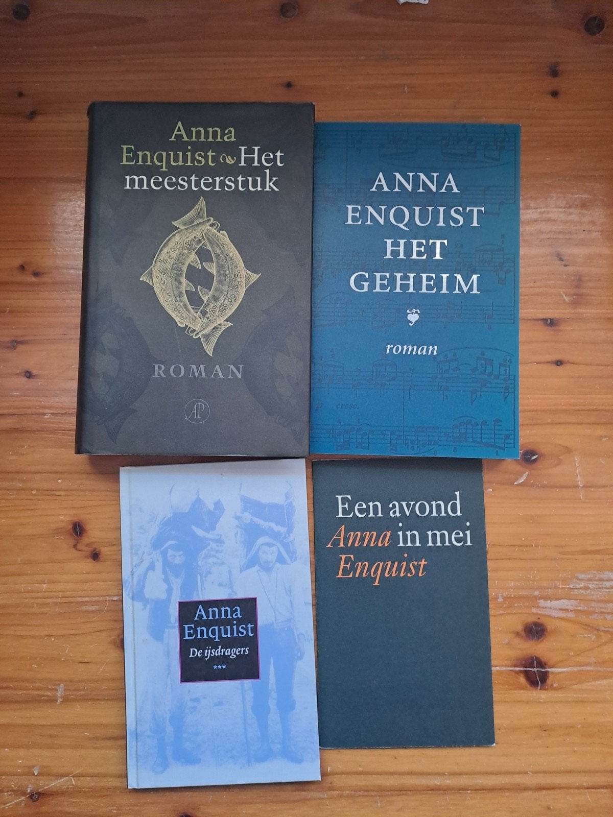 Anna Enquist:, Ophalen of Verzenden, Zo goed als nieuw
