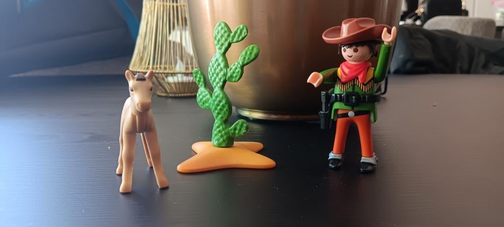 Playmobil 5373 Cowboy met wild veulen en cactus, Ophalen, Zo goed als nieuw, Complete set