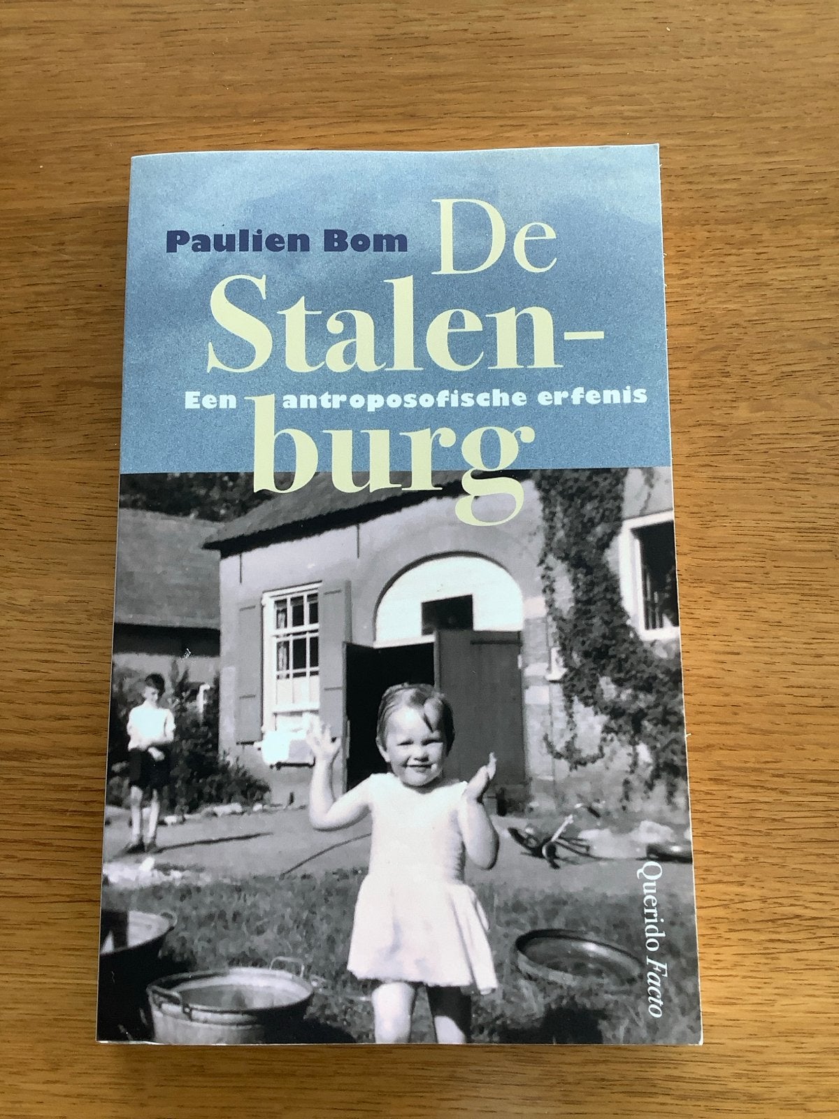 De Stalenburg (een antrposofische erfenis) - Paulien Bom, Boeken, Ophalen of Verzenden, Gelezen