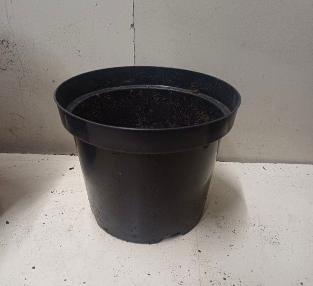 Kweekpotten plantenpotten bloempotten 3 liter, Tuin en Terras, Kunststof, Gebruikt, Rond, Ophalen of Verzenden