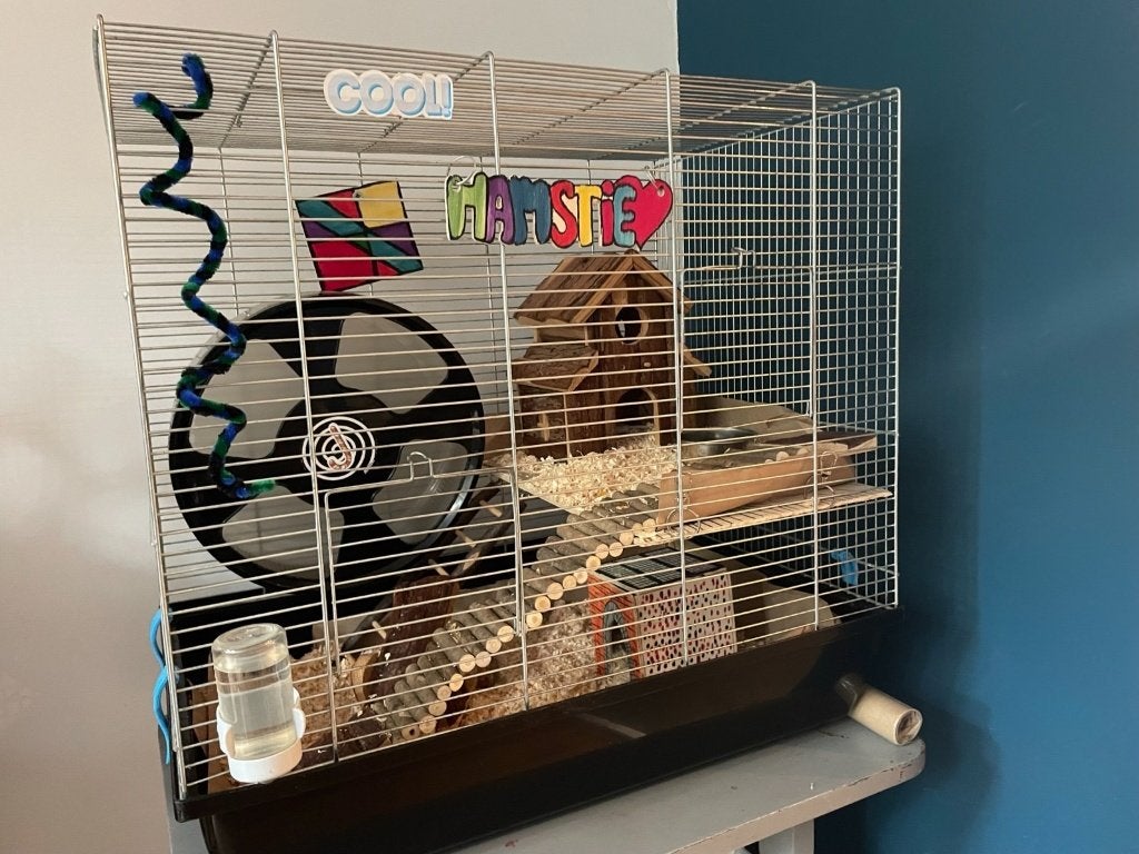 Mooie hamsterkooi met allerlei toebehoren, Dieren en Toebehoren, Ophalen, Kooi, 60 tot 90 cm, Minder dan 75 cm