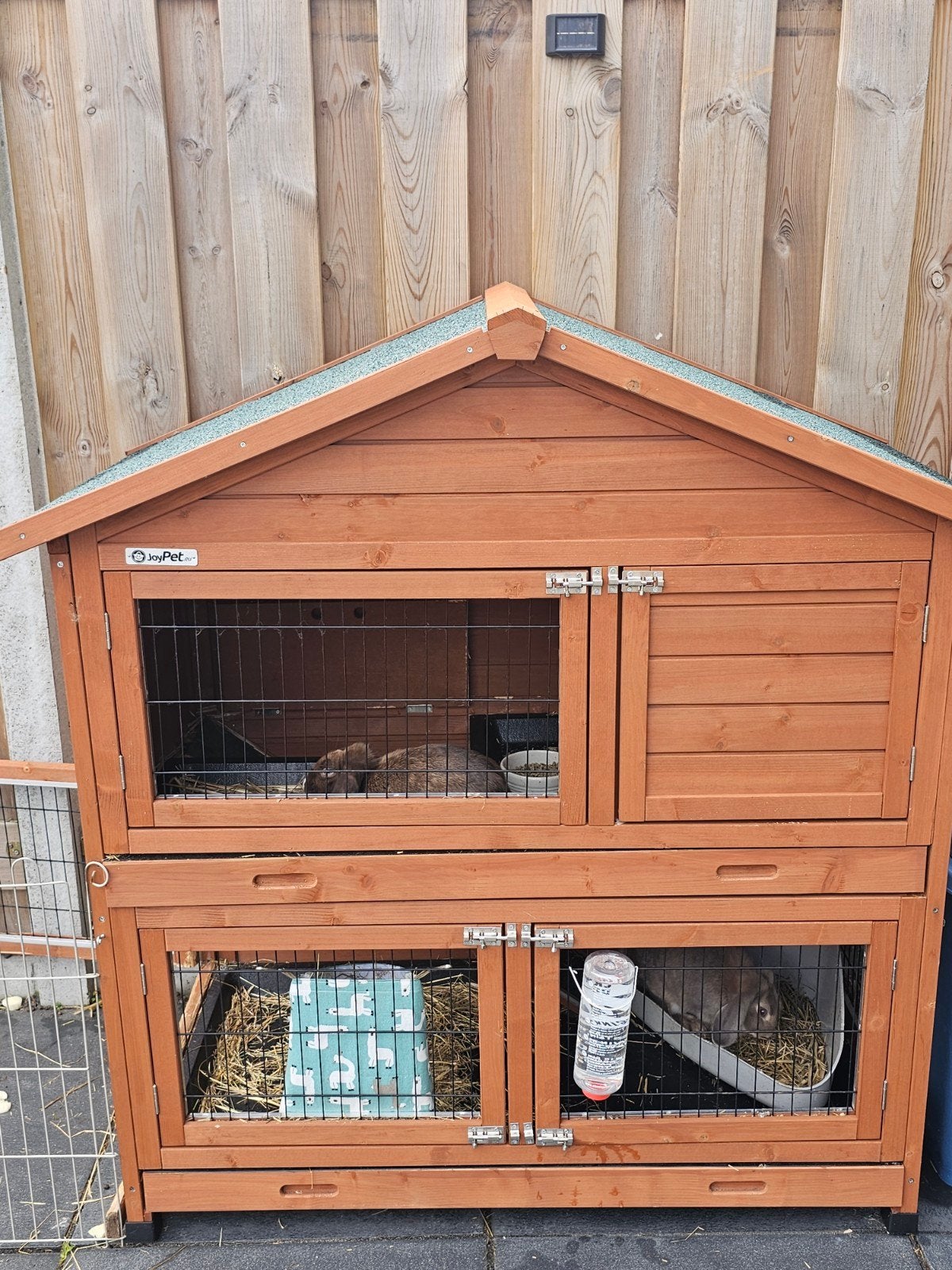3 maanden oud konijnenhok voor buiten, Dieren en Toebehoren, Ophalen, 110 cm of meer, Cavia, Zo goed als nieuw