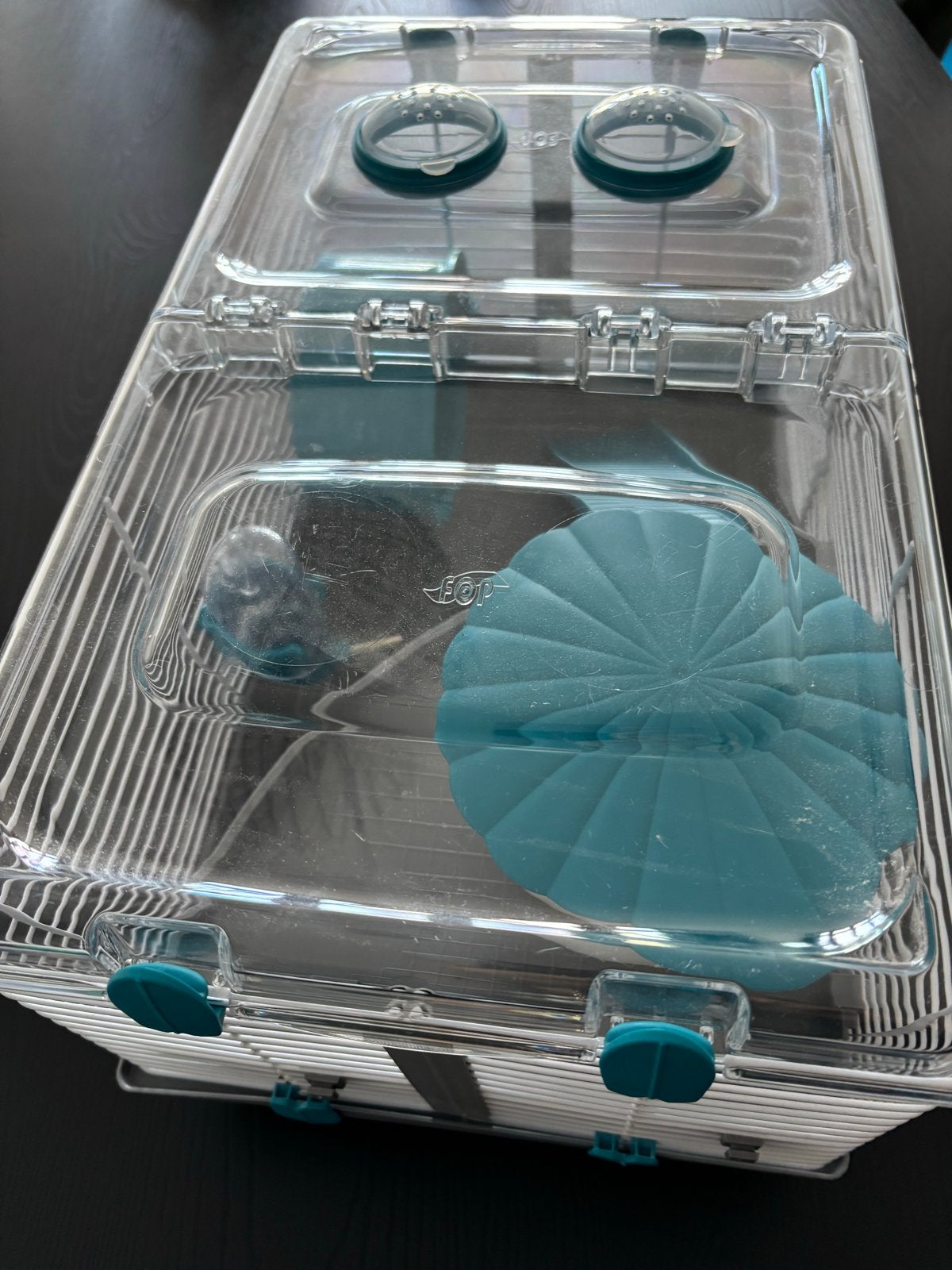 Reiskooi voor knaagdieren, Dieren en Toebehoren, Minder dan 75 cm, Zo goed als nieuw, Hamster, Reiskooi of Transportbox