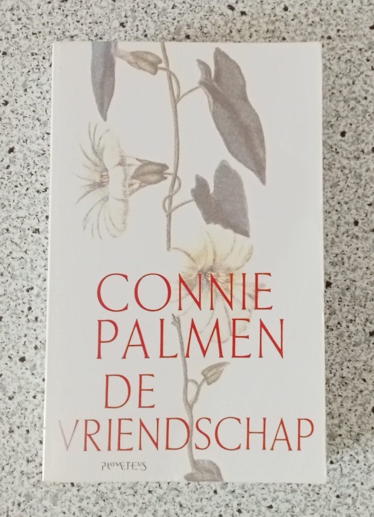 Palmen, Connie - De vriendschap, Boeken, Verzenden, Gelezen