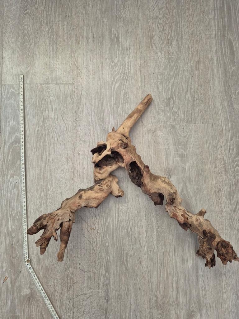 Decoratie voor in aquarium, Dieren en Toebehoren, Ophalen, Plant(en), Steen of Hout