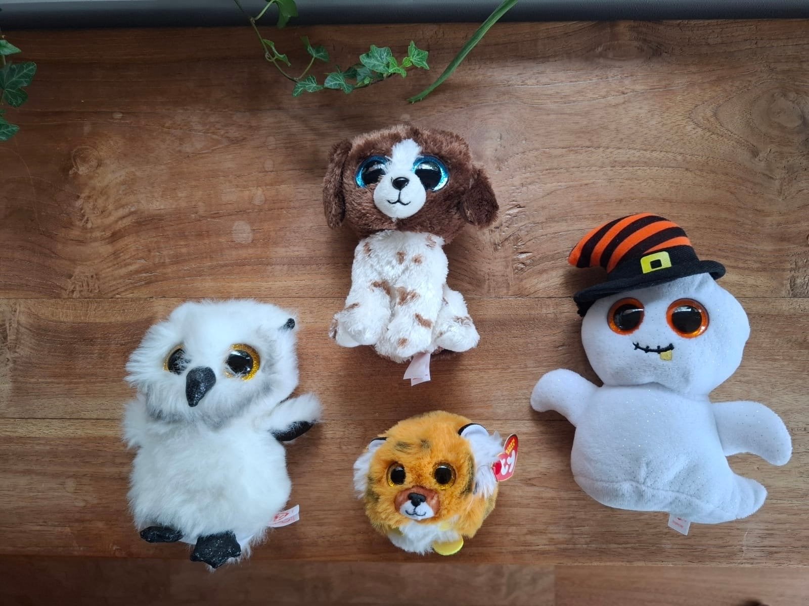 Ty Beanie knuffels - Diverse inclusief Halloween, Middelgroot (20 tot 80 cm), Bruin, Ty, Hond
