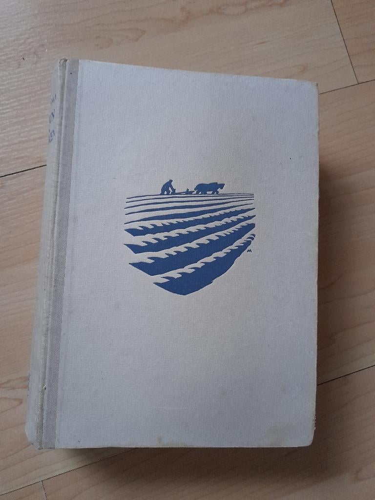 GROUN EN MINSKEN door R Brolsma friestalig, Boeken, Ophalen of Verzenden, Gelezen, Nederland