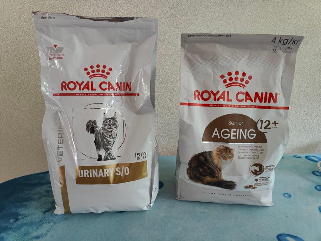 Kattevoer Adult, Dieren en Toebehoren, Dierenvoeding, Ophalen, Kat