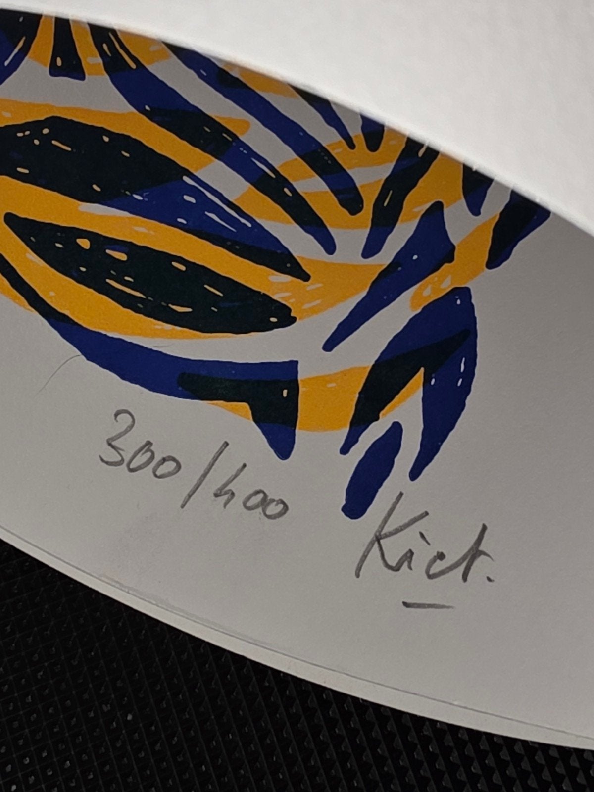 Gelimiteerde Rock Werchter kunstdruk,  nr. 300/400 – gesigne, Antiek en Kunst, Kunst | Litho's en Zeefdrukken, Gesigneerd, Ophalen of Verzenden