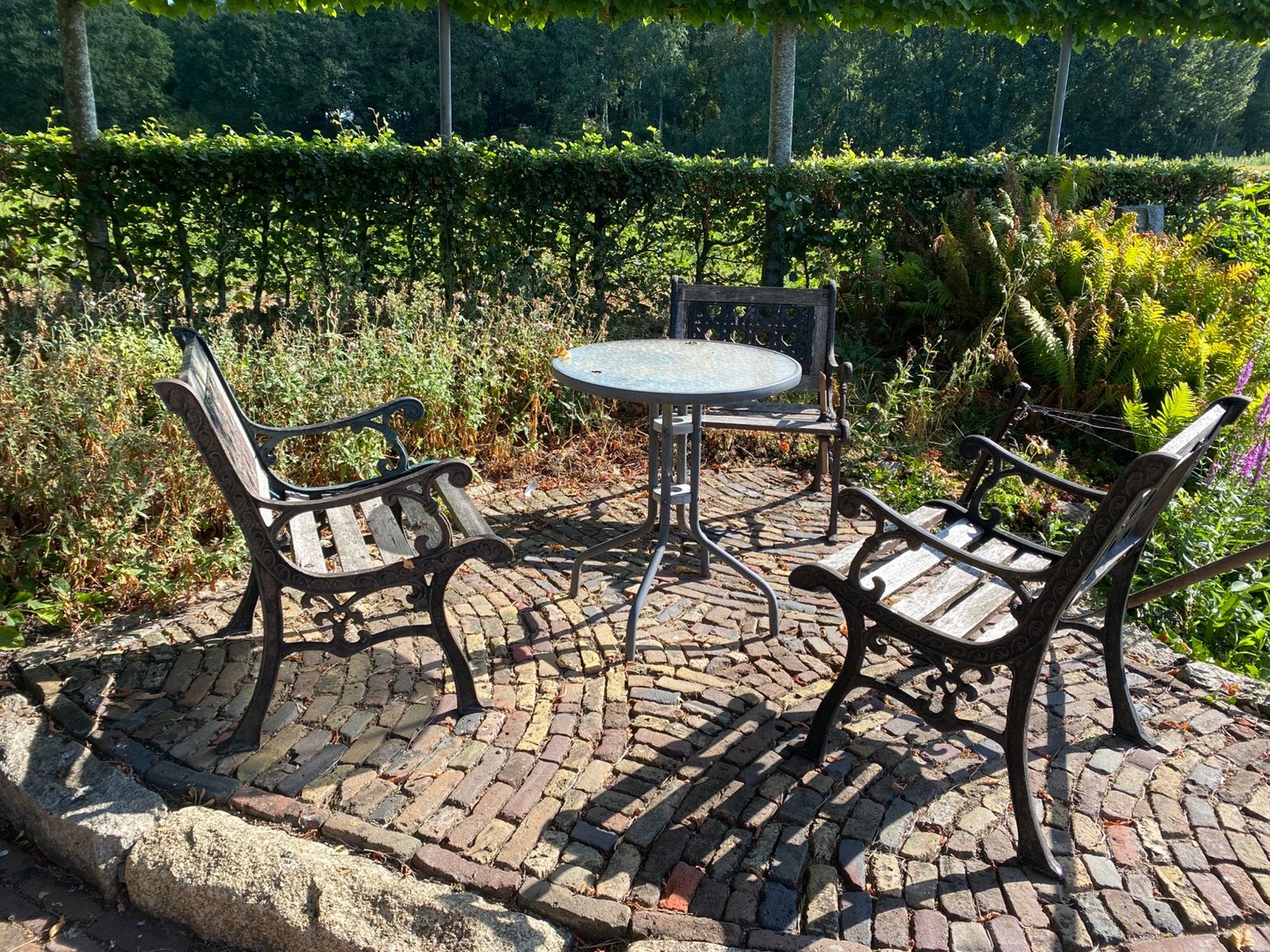 Tuinstoelen, gietijzer, Ophalen of Verzenden, Gebruikt, Hout