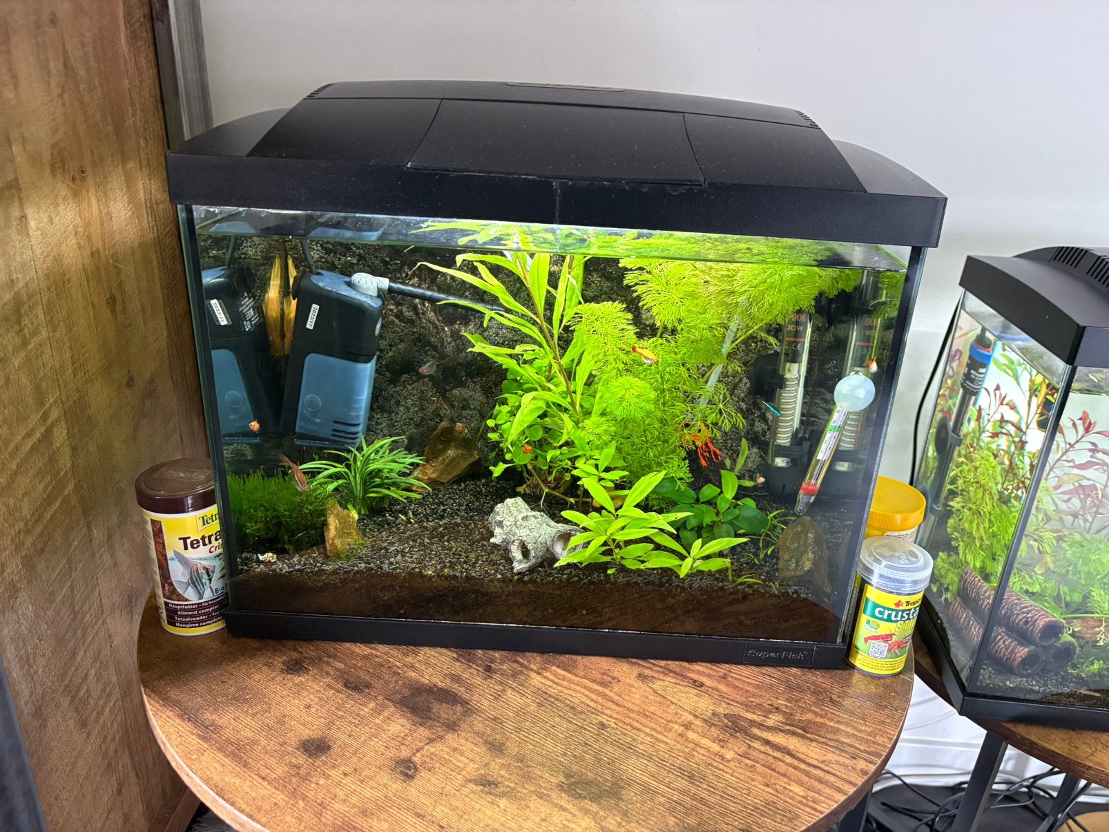 Nette en goed draaiende aqwarium.   50. /60liter., Dieren en Toebehoren, Vissen | Aquaria en Toebehoren, Ophalen of Verzenden