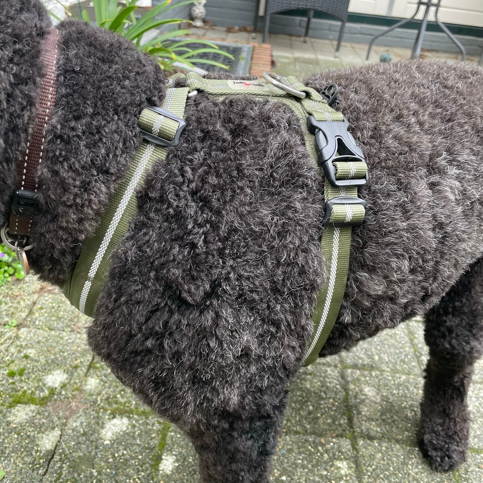 Jack Vanilla expedition, honden harnas, Ophalen of Verzenden, Zo goed als nieuw