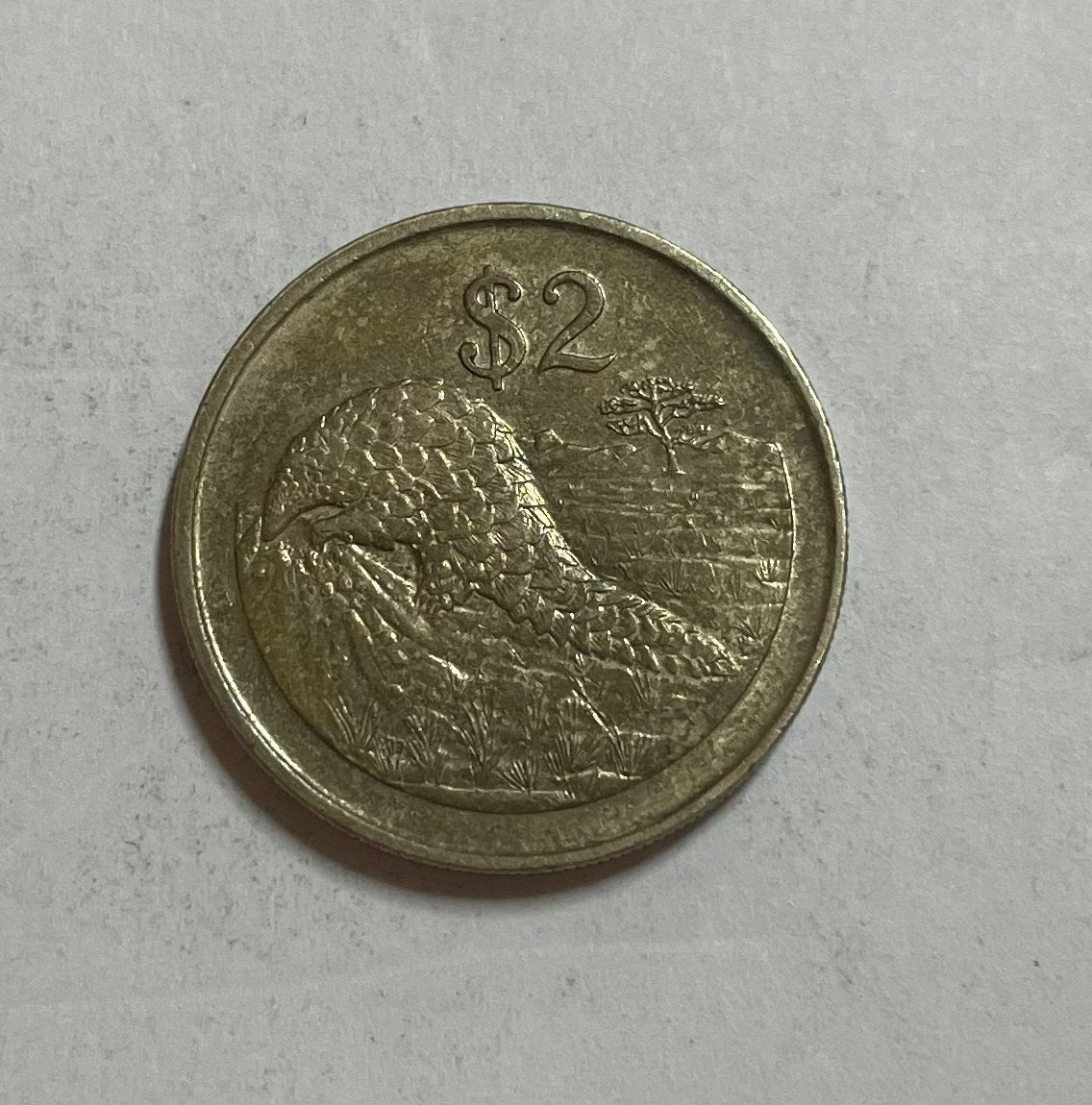 2 dollar Zimbabwe 1997, Ophalen of Verzenden, Zimbabwe