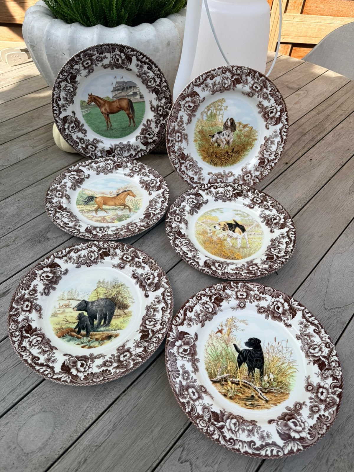 Spode Woodland dinerborden 27/28 cm nieuw, Ophalen, Overige merken, Nieuw, Bord(en)