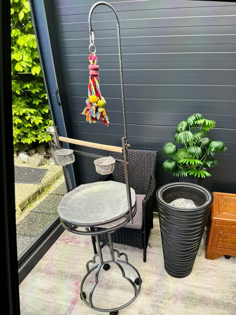 Topmast Papegaaienstandaard Duke *NIEUW*, Dieren en Toebehoren, Ophalen, Nieuw