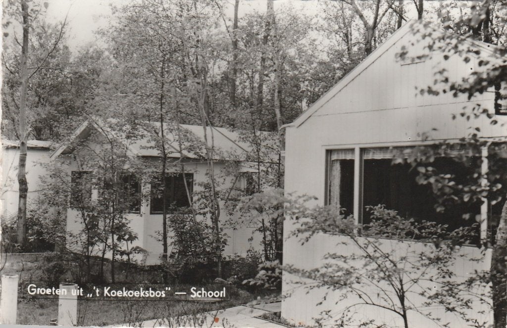 schoorl- koekoeksbos, Ophalen of Verzenden, 1940 tot 1960, Noord-Holland