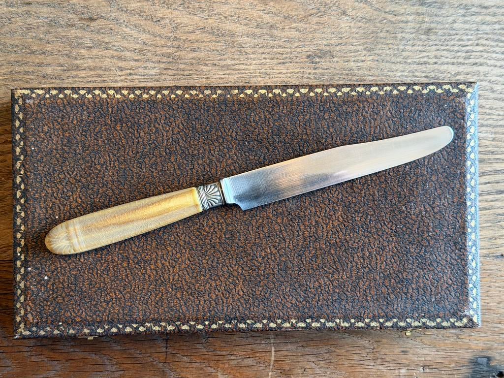 Antieke doos met couverts - messen, Ophalen of Verzenden
