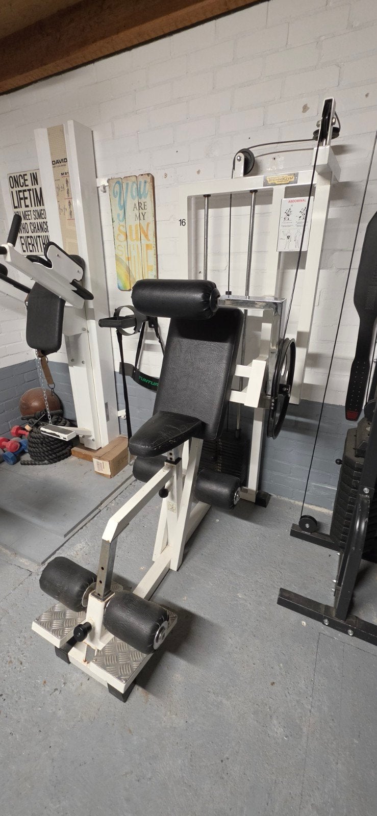 Technogym Abdominal Krachtstation - Professionele Kwaliteit, Gebruikt, Krachtstation, Ophalen of Verzenden, Buik